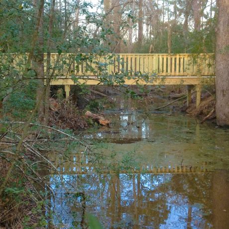 pond with bridge
