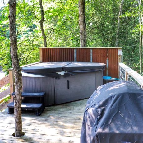 hot tub surrounded by trees